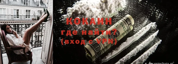 ешки Алексин